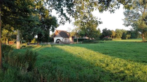 a large field with a house in the distance at B&B De Grote Plaats in Hoogstraten