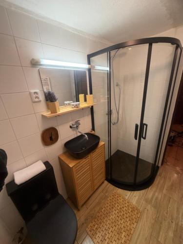 a bathroom with a shower and a sink at Chata nad řekou Otavou in Vojníkov