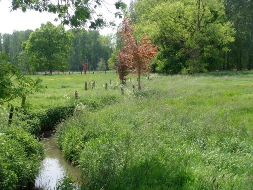 a field of grass with a stream in it at B&B De Grote Plaats in Hoogstraten