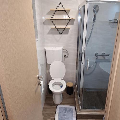 a small bathroom with a toilet and a shower at Brvnara Gorska Dama in Sekulić 