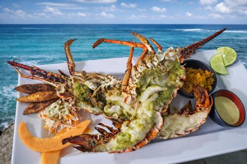 Φαγητό σε αυτό το διαμέρισμα ή κάπου εκεί κοντά