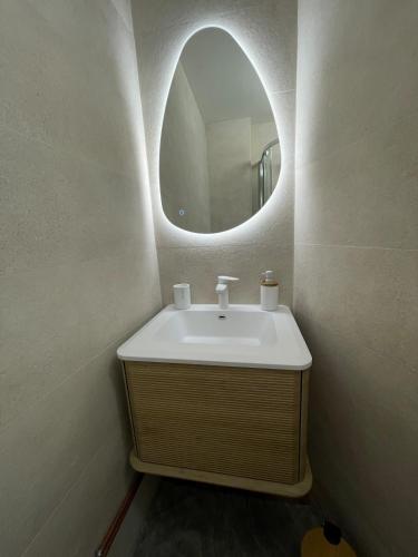 a bathroom with a sink and a mirror at Studio avec canapé lit 2 places dans pièce de vie et lit une place dans coin nuit in Saint-Mandrier-sur-Mer