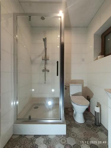 a bathroom with a shower and a toilet at Bieszczadzkie Pola in Wańkowa