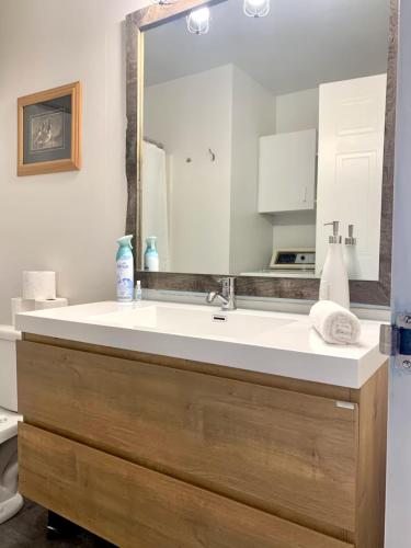 a bathroom with a sink and a mirror at Condos Mont-Trinité, Idéal pour VTT & Travailleurs in Saint-Michel-des-Saints