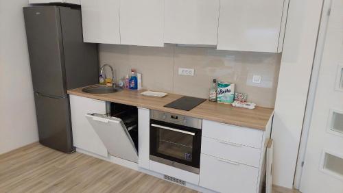 a kitchen with a counter with a sink and a refrigerator at Villa Nova Ohrid in Ohrid