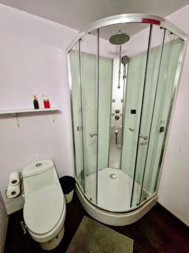 a bathroom with a toilet and a glass shower at Suite Rosa familiar para hasta 6 huéspedes Amplia, céntrica, con cocineta y baño privado in Mexico City