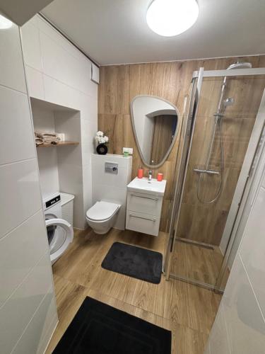ein Badezimmer mit Dusche, Toilette und Waschbecken in der Unterkunft Apartament nad rzeką 2 in Kowary
