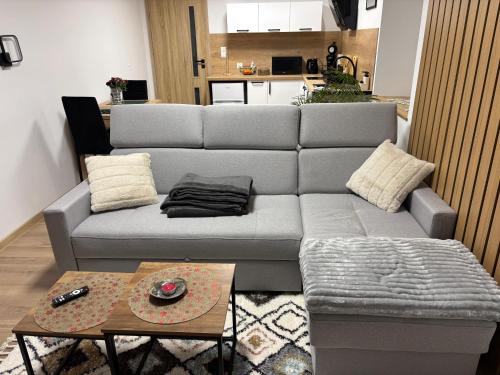 ein Wohnzimmer mit einer grauen Couch und einem Tisch in der Unterkunft Apartament nad rzeką 2 in Kowary
