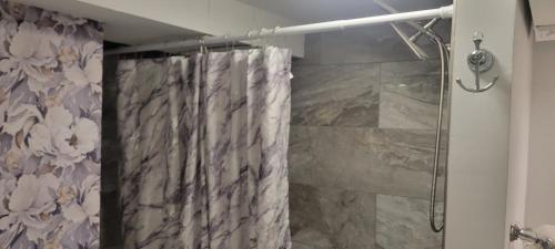eine Dusche mit Duschvorhang im Bad in der Unterkunft Beautiful basement in Chicago