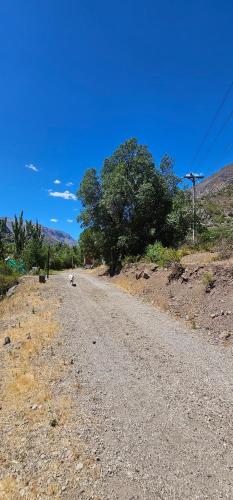 una strada sterrata con alberi sul fianco di una collina di Cabaña Valle del Yeso a El Manzanito