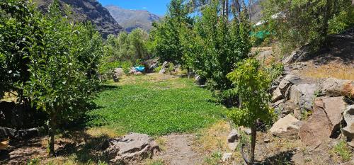 un campo d'erba con alberi su una montagna di Cabaña Valle del Yeso a El Manzanito