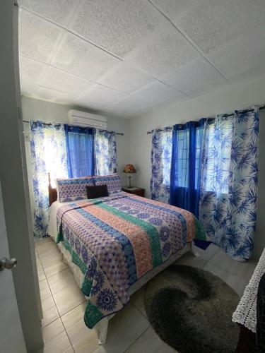 a bedroom with a bed and blue curtains at GranAnn's Place in Kingston