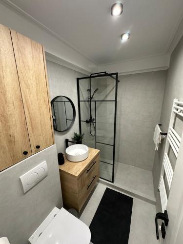 Et badeværelse på Central Apartment Luxury Suceava