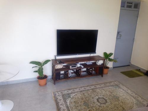 Un televizor și/sau centru de divertisment la The Pearl of Juja