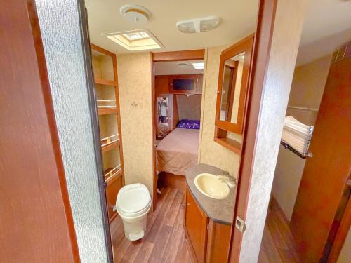 een kleine badkamer met toilet en wastafel bij Camper Adventure in Livingston