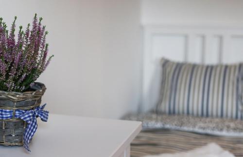 a vase with purple flowers on a table next to a couch at Penzion Recall in Troskovice