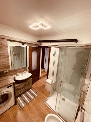 a bathroom with a shower and a sink and a toilet at Gran Paradiso Alpine Lodge in Aosta