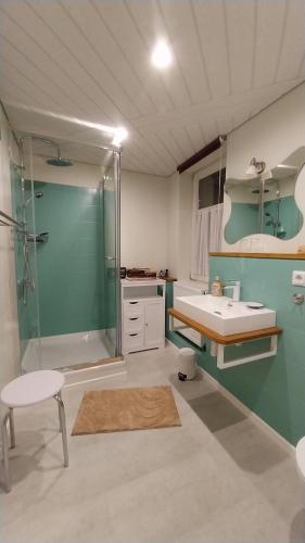 a bathroom with a shower and a sink at Ferienwohnung-Margarete in Sankt Andreasberg