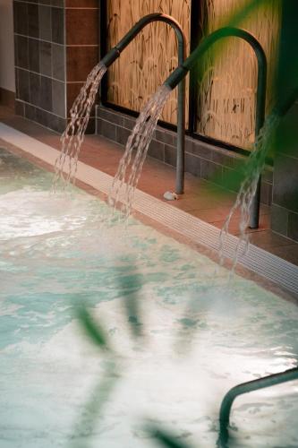 Rookery Hall Hotel & Spa — Swimming pool