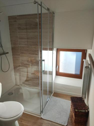 a bathroom with a shower with a toilet and a window at Le gîte des Bernadettes in Apchat