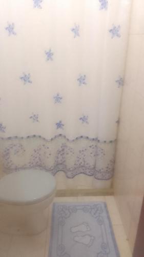 a bathroom with a toilet and a rug on the floor at Hospedaria Meu lar 2 in Rio das Ostras