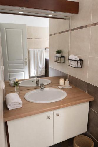 a bathroom with a sink and a large mirror at La Grippiere in Petit-Bourg
