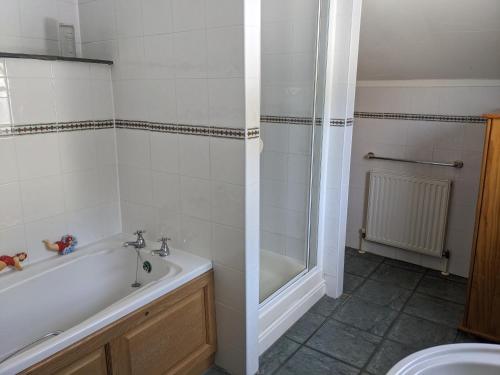 a bathroom with a shower and a tub and a sink at Neifion in Aberdyfi