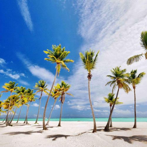 The Dorms | Estancia moderna en Las Canas