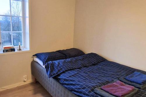 En eller flere senge i et værelse på Torshov Gård, Viking grounds