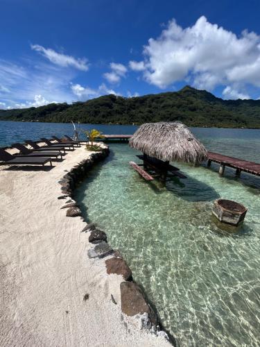 Příroda nedaleko hotelu