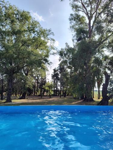 a pool of blue water with trees in the background at Lo de Esther in Villa Constitución