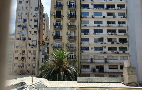 een hoog gebouw met een palmboom ervoor bij Viamonte Che! in Buenos Aires