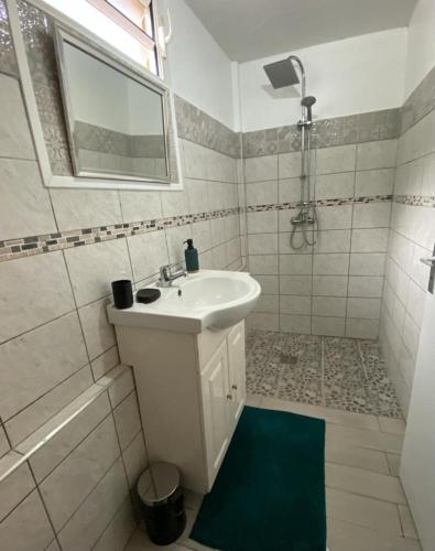 a white bathroom with a sink and a shower at Le Tomaflo in Le Marin