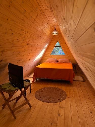 a bedroom with a bed and a tv in a attic at Helena Suites Alpina in Villarrica