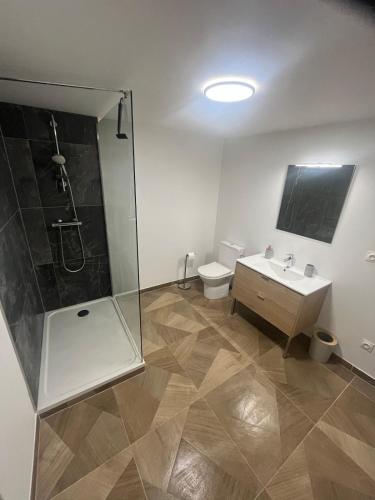 un bagno con doccia, lavandino e WC di Spacieux appartement cozy a Saales