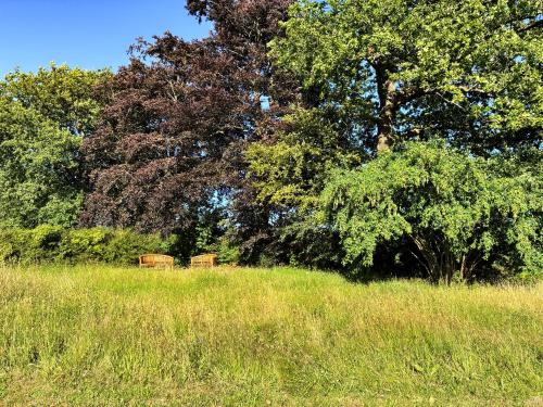 Naturlandskabet i nærheden af feriehuset