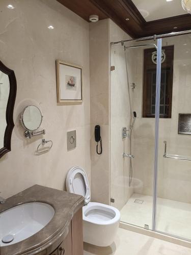 a bathroom with a shower and a toilet and a sink at The Anthill in Bolpur