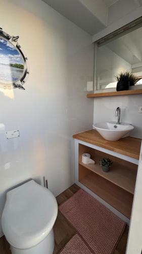a bathroom with a white toilet and a sink at Hausboot in Berlin, festliegend im Yachthafen Schmöckwitz, mit Heizung in Berlin