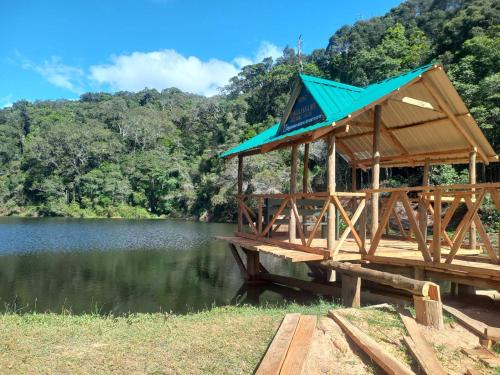 Naturlandskabet i nærheden af lejligheden