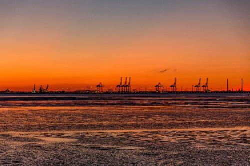 a sunset over a beach with a group of cranes at Ferienlandhaus Tossens in Butjadingen
