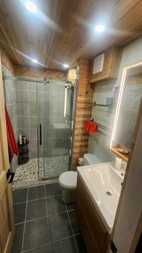 ein Badezimmer mit Dusche, Toilette und Waschbecken in der Unterkunft The Bear Road in Churchill