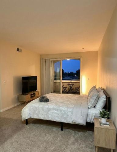 Marina Del Rey 2-Bedroom and 1-Bedroom - Close To Beach photo 37