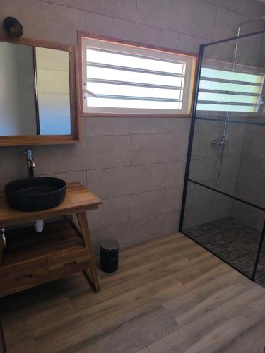 a bathroom with a sink and a shower at Location saisonnière Chez Paulette in Cilaos