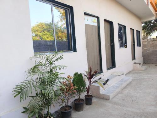 En have udenfor Vyom homestay