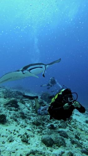 Clients de Addu Scuba Dive