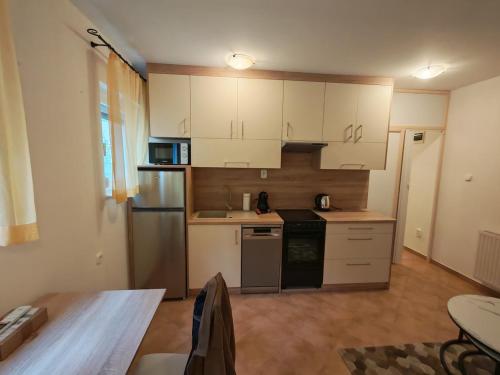 Kuchyň nebo kuchyňský kout v ubytování Frangepan