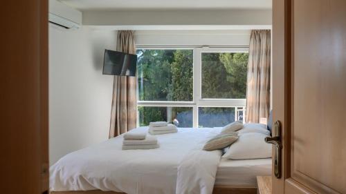 Villa Alte Muhle with pool and jacuzzi in Novigrad