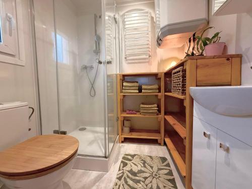 een badkamer met een douche, een toilet en een wastafel bij Ubytování Na pasece in Benešov