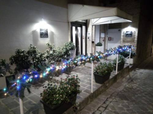 Eine Reihe von Pflanzen mit Weihnachtslichtern vor einem Gebäude in der Unterkunft Hotel Arcadia in Macerata
