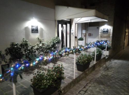 Eine Reihe von Pflanzen mit Weihnachtslichtern vor einem Gebäude in der Unterkunft Hotel Arcadia in Macerata